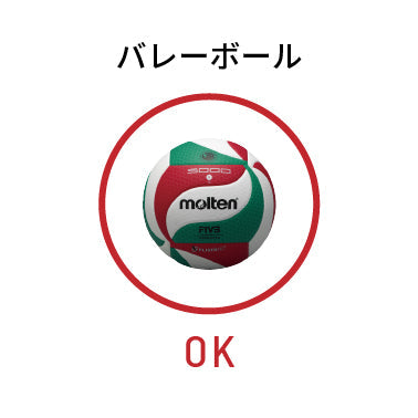 ボールパンク検査依頼代金