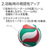 公式試合球（全小VB2026）　軽量４号球　人工皮革