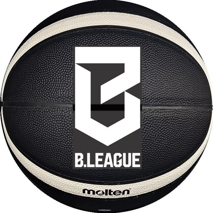 Ｂリーグ 2026-27シーズン ライセンスボール レプリカ ミニボール ※7月中旬頃より順次発送予定
