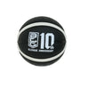 Ｂリーグ 10周年記念 ミニボール