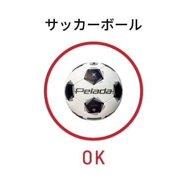 ボールパンク検査依頼代金
