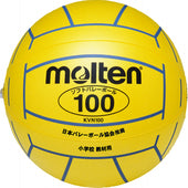 ソフトバレーボール 100